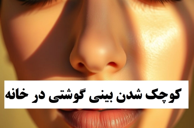 کوچک شدن بینی گوشتی در خانه