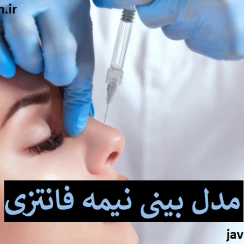 مدل بینی نیمه فانتزی