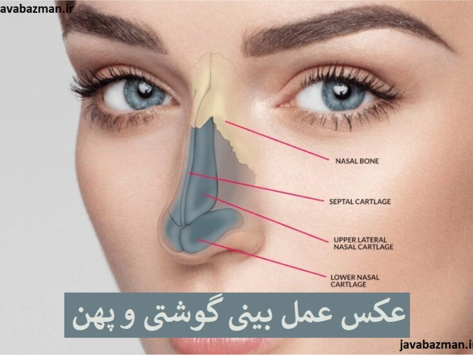 عکس عمل بینی گوشتی و پهن