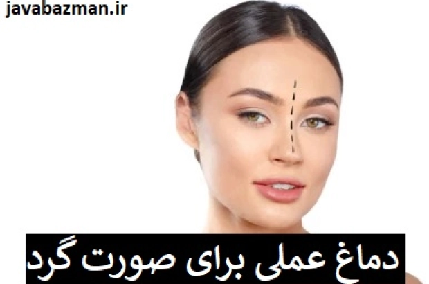 دماغ عملی برای صورت گرد