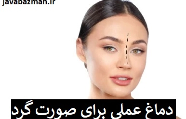 دماغ عملی برای صورت گرد