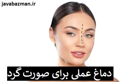 دماغ عملی برای صورت گرد