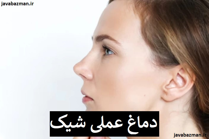 دماغ عملی شیک